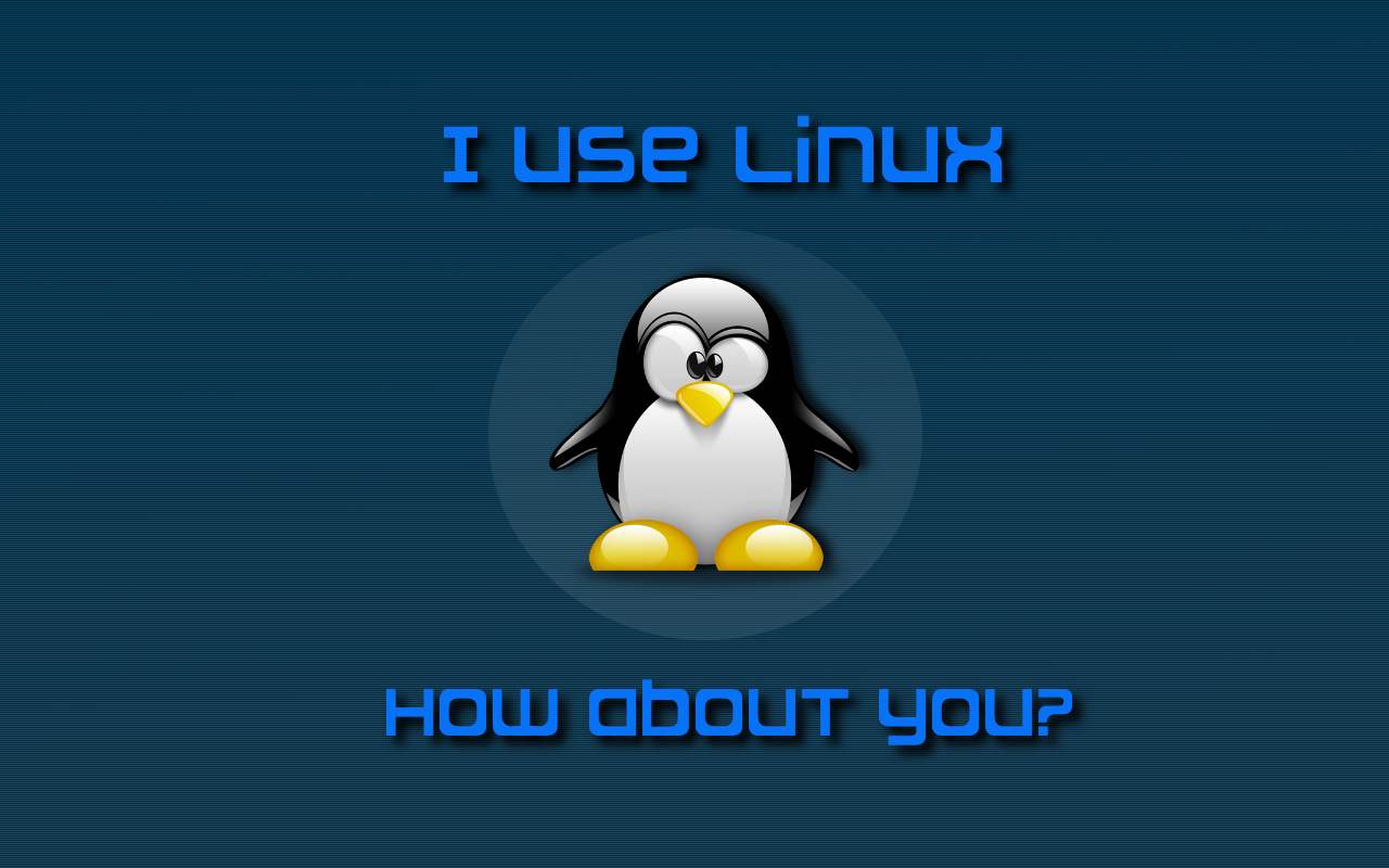 Linux学习之旅5——网络和数据传输